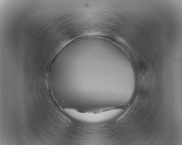 X0000066971361200604142130