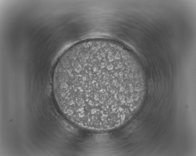 X0000066971363200604142130