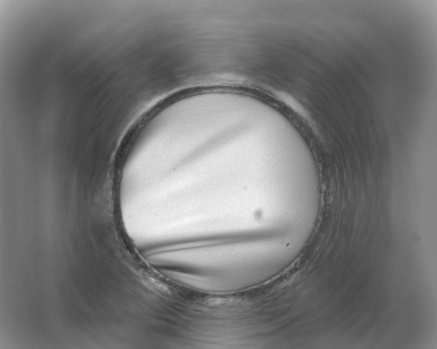 X0000066971364200604142130