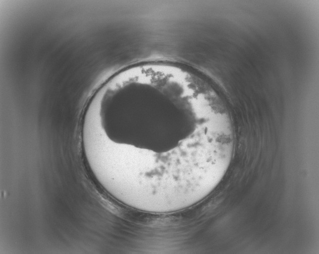 X0000066971367200604142130