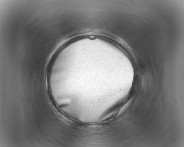 X0000066971368200604142130