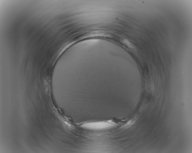 X0000066971369200604142130