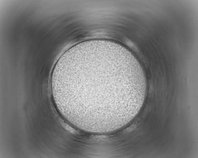 X0000066971370200604142130