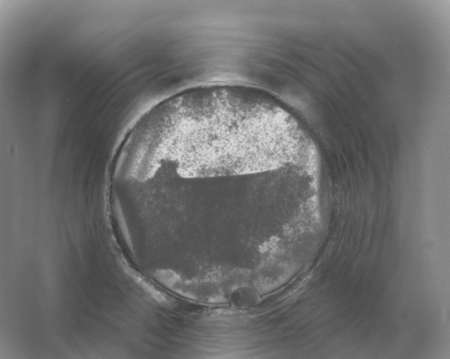 X0000066971374200604142130