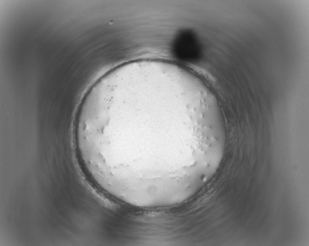 X0000066971375200604142130