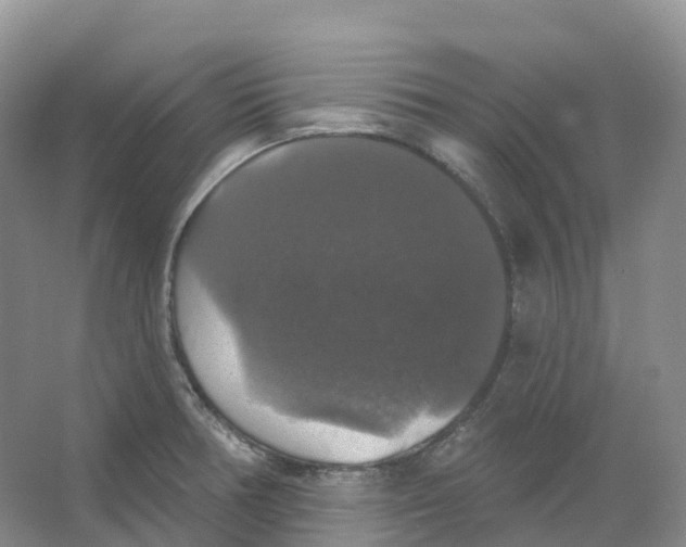 X0000066971378200604142130