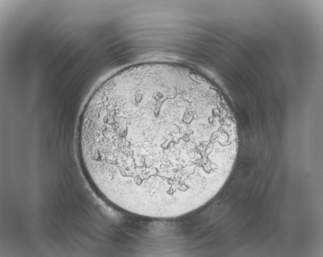 X0000066971379200604142130