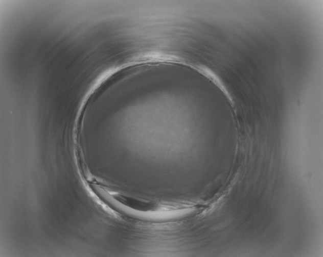 X0000066971381200604142130