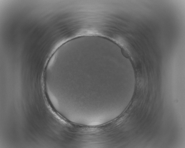 X0000066971382200604142130