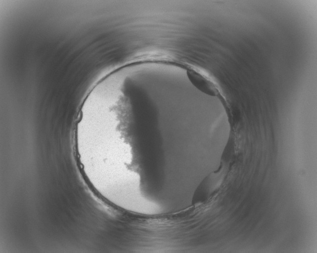 X0000066971383200604142130