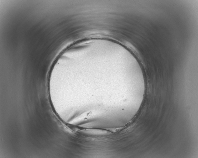 X0000066971384200604142130