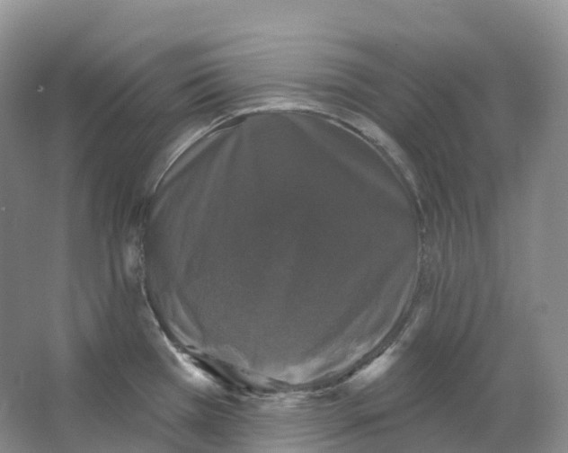 X0000066971385200604142130