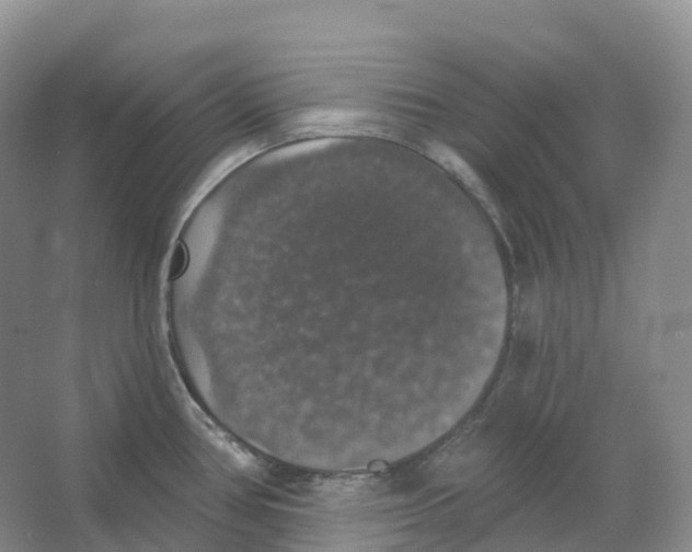 X0000066971386200604142129