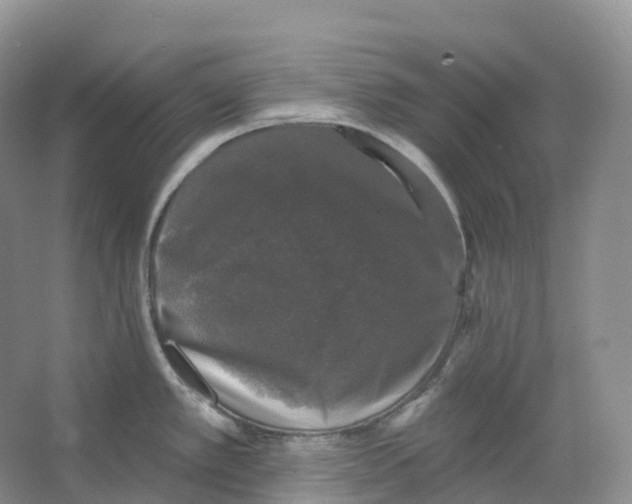 X0000066971389200604142129