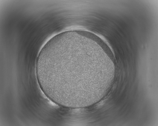 X0000066971390200604142129