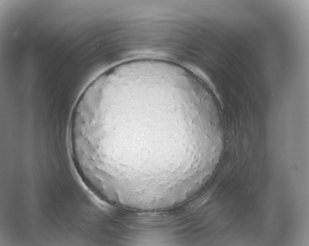 X0000066971391200604142129