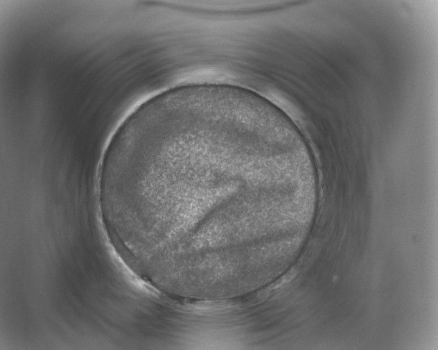 X0000066971392200604142129