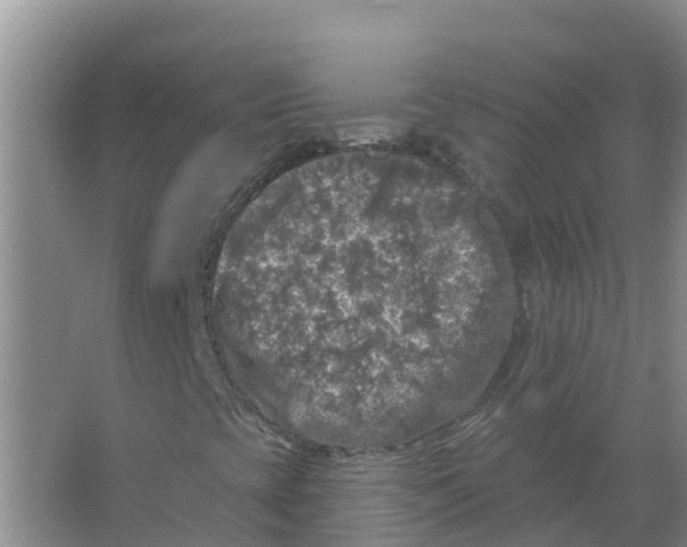 X0000066971393200604142129