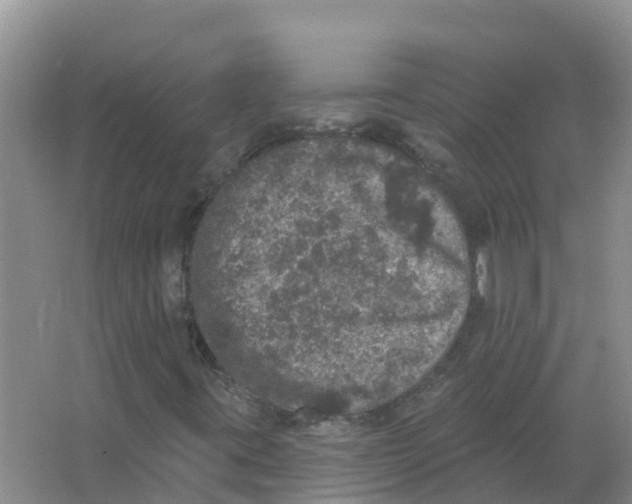 X0000066971395200604142129