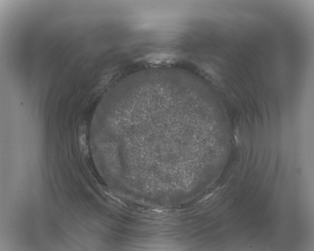 X0000066971396200604142129