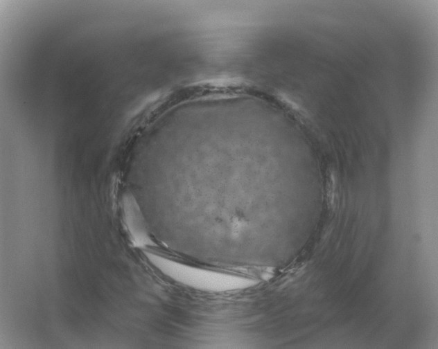 X0000066971398200604142129