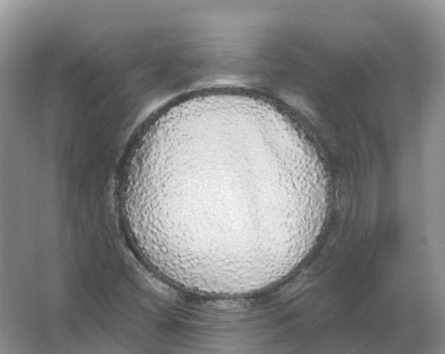 X0000066971404200604142129