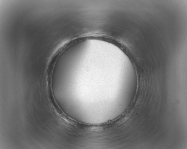 X0000066971406200604142129