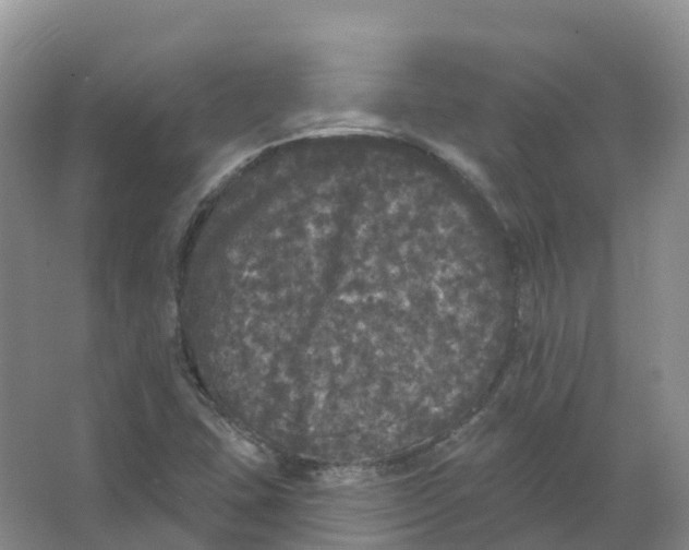 X0000066971407200604142129