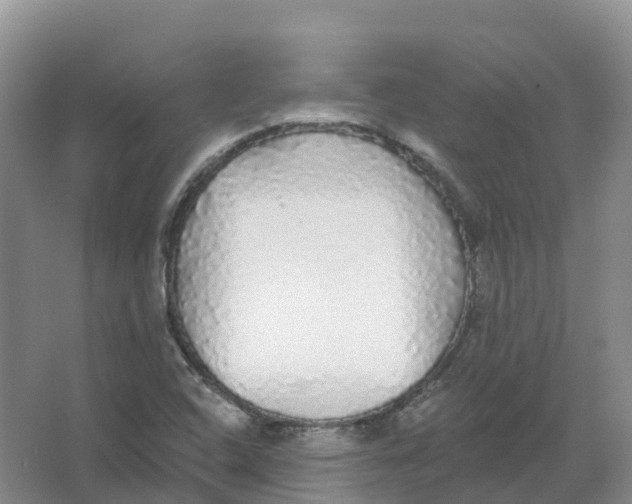 X0000066971408200604142129