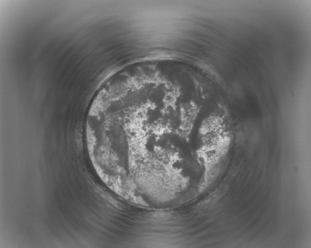 X0000066971409200604142129