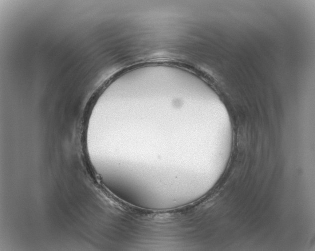 X0000066971410200604142129