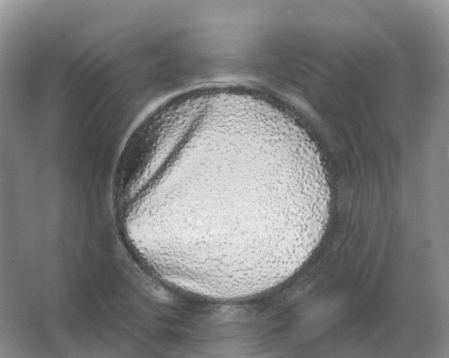 X0000066971412200604142129