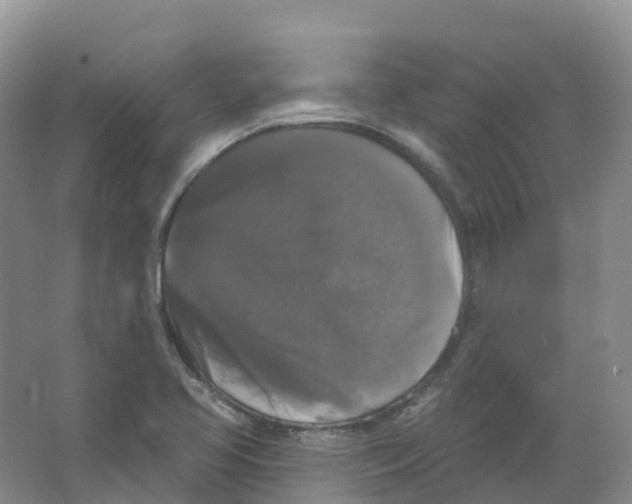 X0000066971413200604142129