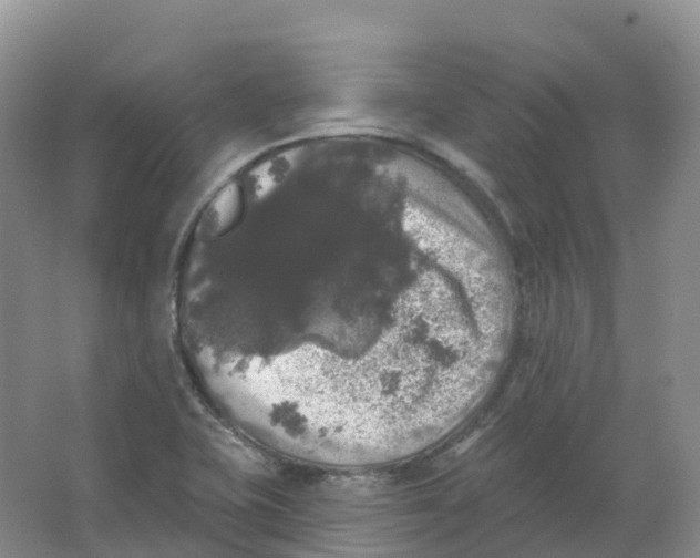 X0000066971415200604142129