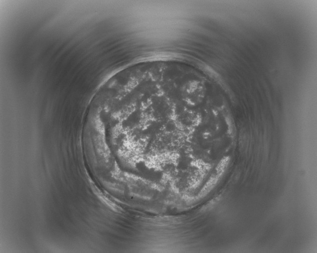 X0000066971417200604142129