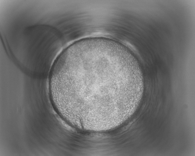 X0000066971420200604142129