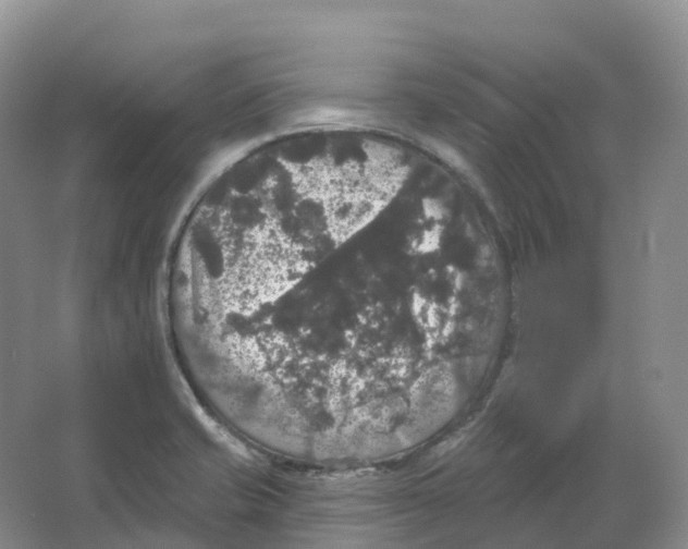 X0000066971421200604142129