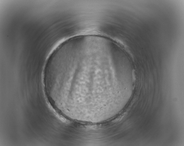 X0000066971422200604142129