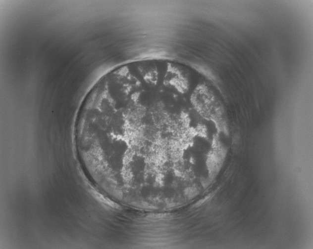 X0000066971423200604142129