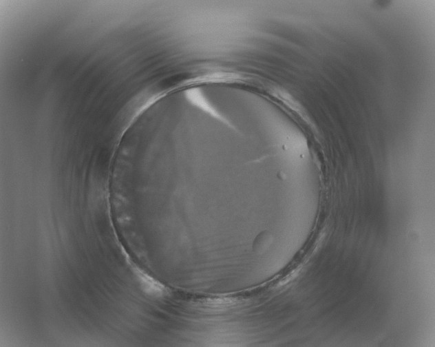 X0000066971425200604142129