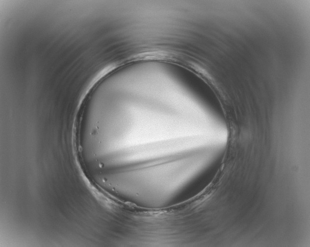 X0000066971426200604142129