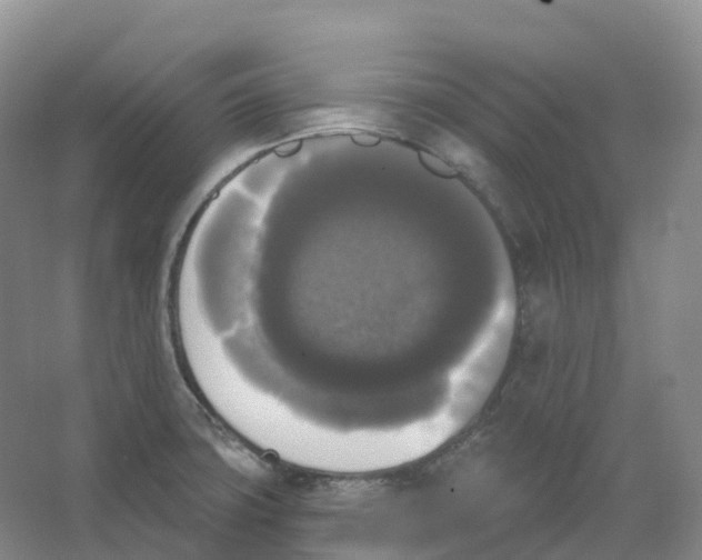 X0000066971427200604142129