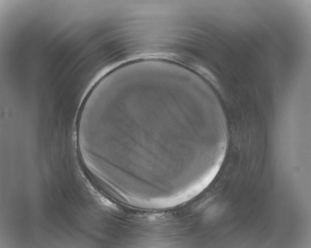 X0000066971428200604142129