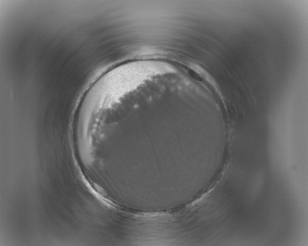 X0000066971429200604142129