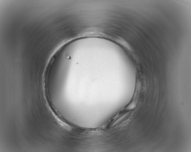 X0000066971430200604142129