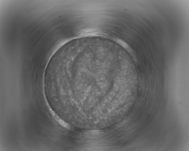 X0000066971431200604142129