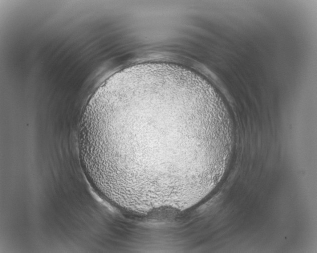 X0000066971433200604142129