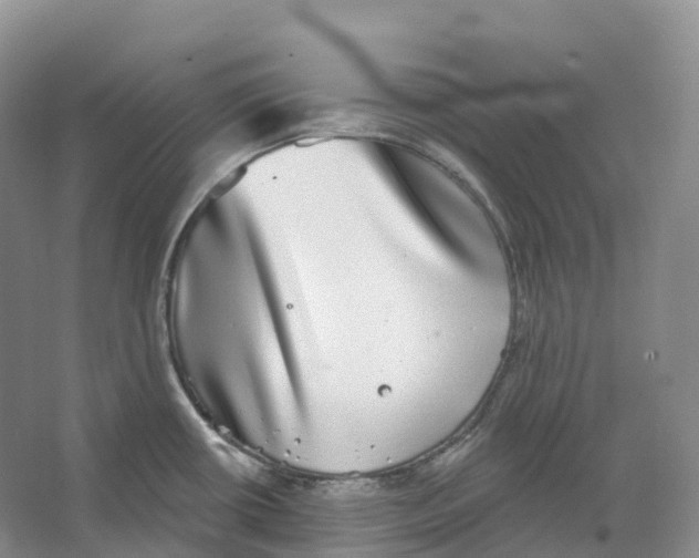 X0000066971434200604142129