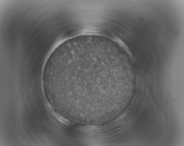 X0000066971435200604142129