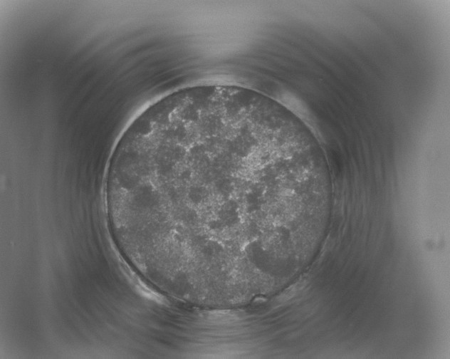 X0000066971436200604142129